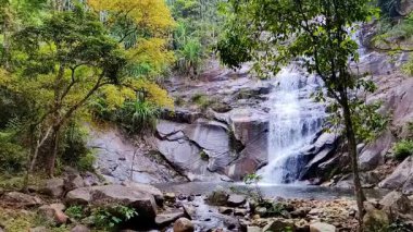 Güzel dağ şelale orman