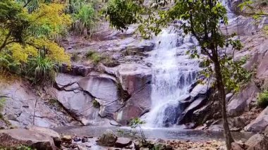 Ormanda güzel bir şelale