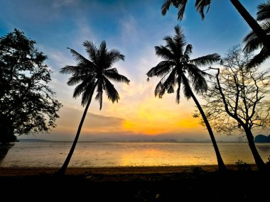Renkli gökyüzüne karşı siluetlenmiş palmiye ağaçlarıyla büyüleyici günbatımı sahnesi, sakin bir sahile yansıyor..