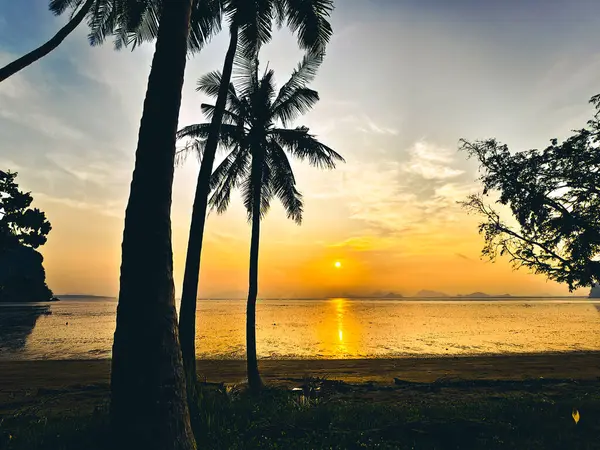 Tropikal bir plajda gün batımı. Dalgalı bir gökyüzüne ve sakin bir okyanusa karşı silueti olan palmiye ağaçları..