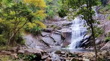 Ormanda güzel bir şelale