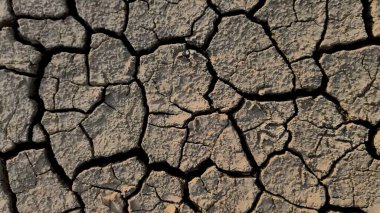 Çatlamış, kuru toprağın yakın çekimi kuraklığın ve iklim değişikliğinin çevre üzerindeki etkisini gözler önüne seriyor..