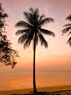Gün batımında sakin bir tropikal plaj sahnesi. Siluetli palmiye ağaçları canlı bir gökyüzüne ve sakin bir okyanusa karşı..