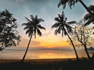 Renkli gökyüzüne karşı siluetlenmiş palmiye ağaçlarıyla güzel bir günbatımı, sakin bir tropik plaj sahnesi yaratıyor..