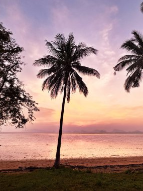 Gün batımında sakin tropikal plaj sahnesi. Renkli gökyüzüne karşı siluetlenmiş palmiye ağaçları sakin okyanus sularını yansıtıyor..