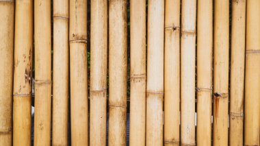 Bambu saplarının detaylı görünümü doğal dokular ve sıcak renkler sergiliyor, arka planlar veya doğa temalı tasarımlar için mükemmel..