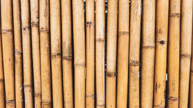 * * Bambu saplarının doğal doku ve rengini gösteren detaylı görünümü, çevre dostu temalar ve organik tasarım projeleri için idealdir