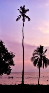Okyanusun renkli gökyüzüne karşı siluetlenmiş uzun palmiye ağaçlarının yer aldığı huzurlu günbatımı sahnesi.