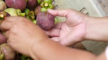 taze ve tatlı tutku meyvesi