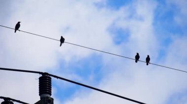 Evin çatısında elektrik kabloları var..