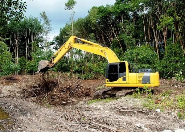 Ormanda çalışan sarı bir kazıcı inşaat ve geliştirme amaçlı arazi temizliyor..