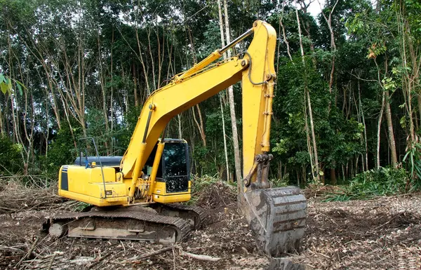Sarı kazıcı ormanlık alanı temizliyor, inşaat ve arazi geliştirme makinelerini iş başında gösteriyor.