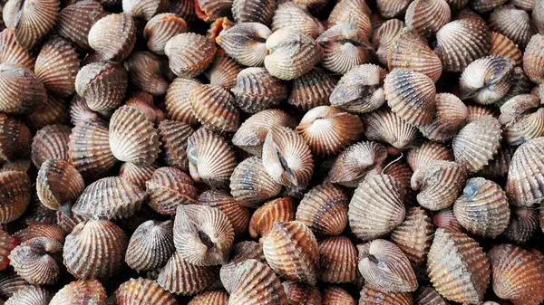 Aşçılık ve deniz temalı projeler için ideal olan eşsiz dokularını ve desenlerini gösteren çok sayıda midye kabuğunun ayrıntılı bir görüntüsü.