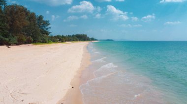 Berrak mavi gökyüzü, yumuşak dalgalar ve yemyeşil, seyahat ve rahatlama temaları için mükemmel, huzurlu tropik plaj sahnesi..