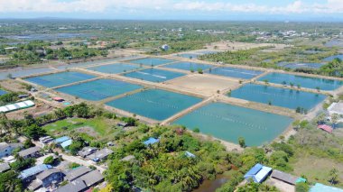 Şehrin tepesinden nehrin manzarası.