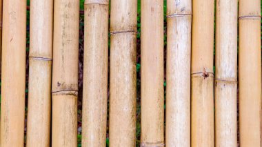 Bambu saplarının detaylı görünümü doğal doku ve toprak renkleri sergiliyor, arka plan ya da doğa temalı tasarımlar için mükemmel..