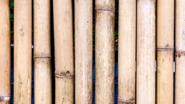 Dikey bambu saplarının detaylı görünümü doğal dokuyu ve organik desenleri sergiliyor, çevre dostu tasarım temaları için mükemmel..