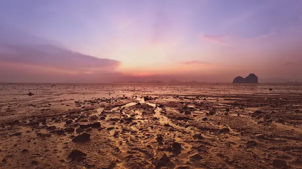 Geniş çamurlu gelgit düzlüklerinin büyüleyici günbatımı manzarası. Renkli bir gökyüzü ve uzak dağlar. Huzurlu ve resimli bir manzara yaratıyor..
