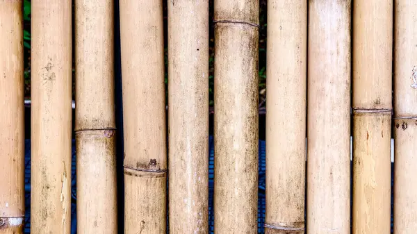 Dikey bambu saplarının detaylı görünümü doğal dokuyu ve organik desenleri sergiliyor, çevre dostu tasarım temaları için mükemmel..