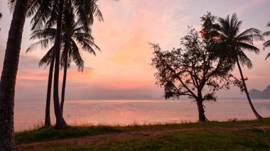 Renkli gökyüzüne ve sakin okyanusa karşı siluetlenmiş palmiye ağaçları ile güzel tropikal bir gün batımı..