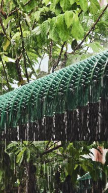 Yağmur suyu yeşil bir çatının üzerinden akar. Etrafı canlı tropikal yapraklarla çevrilidir. Doğanın güzelliğini ve sükunetini gösterir..