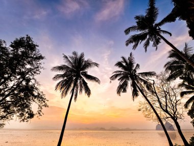 Tayland 'daki Koh Samui adasında güzel bir gün batımı..