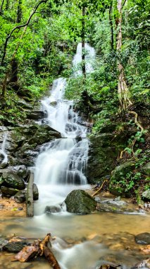 Ormanda güzel bir şelale