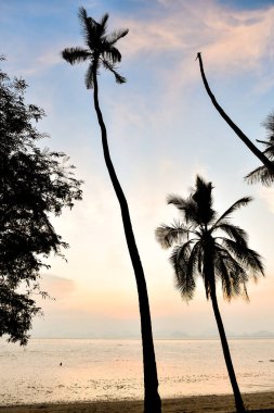 Denizde güzel bir gün batımı