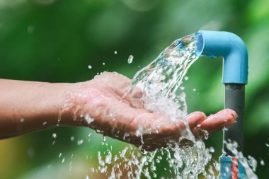 Adam yeşil çimenleri suluyor.