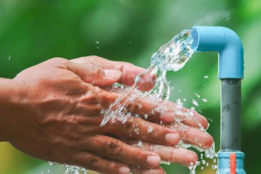 Adamın bahçedeki el sulama bitkileri.