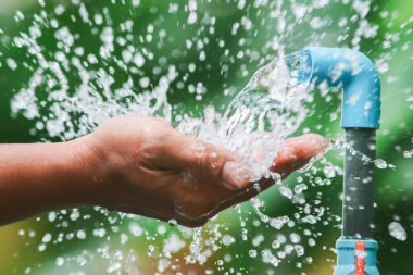 Adamın eli bahçede yeşil bitkilerle suyu yıkıyor.