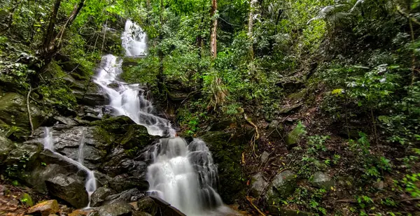 Ormanda güzel bir şelale