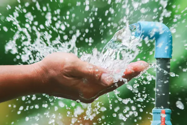 Adamın eli bahçede yeşil bitkilerle suyu yıkıyor.