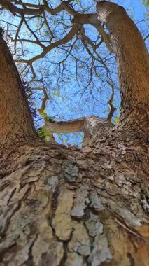 Doğanın güzel manzarası