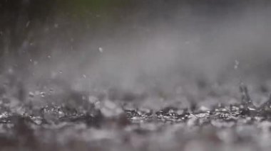 Siyah zemine düşen su damlası