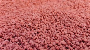 Çiftlikte kırmızı buğday