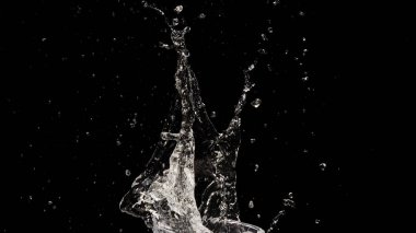 Siyah arkaplanda su sıçraması izole edildi