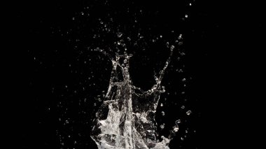 Siyah arkaplanda su sıçraması