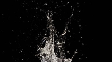Siyah arkaplanda su sıçraması izole edildi
