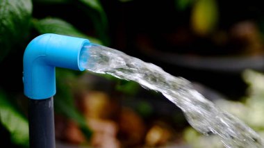 Sulama kabı ve bahçe bitkileri