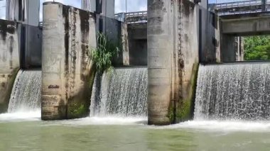 Nehir ve ağaçların arka planına su sıçrıyor