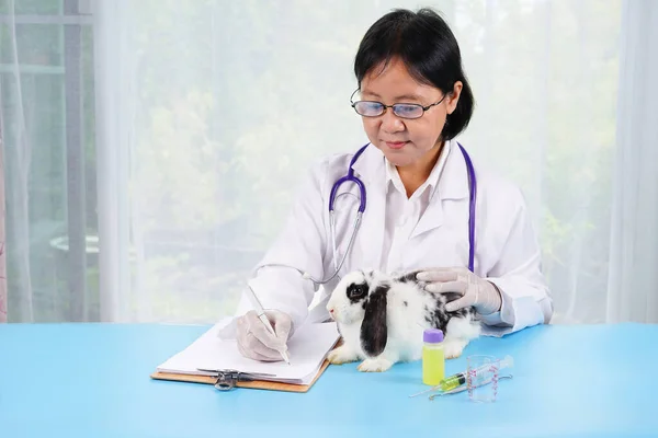 senior asian professional veterinary with stethoscope is writing data while examining a little rabbit in clinic,concept for rabbit sick, rabbit health care
