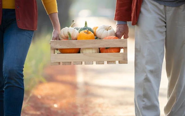 two farmers,father and daughter carry pumpkin in a wooden box together, concept autumn harvest,seasonal harvesting
