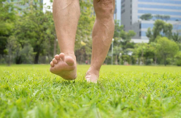 senior man barefoot walking on grasses in the city park,concept for homeopathy lifestyle,activity, benefits in elderly to increase balance awareness of joint position and movement making it easy to walk