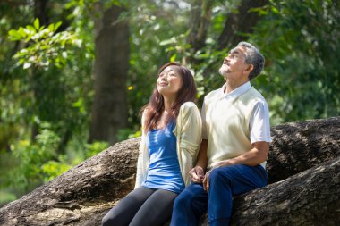 Baba ve kız parkta gezmekten, doğada vakit geçirmekten, büyük ağaçta oturmaktan, temiz hava almaktan ve güneş ışığından zevk almaktan hoşlanırlar. 