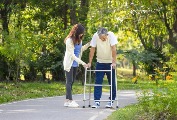 Bakıcı engelli olur kıdemli adam parkta Walker 'la yürüme pratiği yapar. 