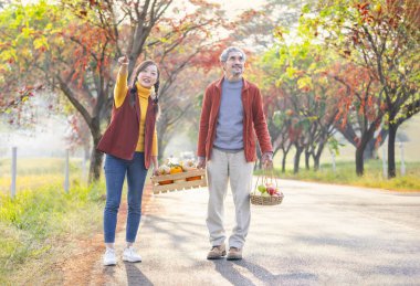 Sonbahar mevsiminde aile yaşam tarzı ve mevsimsel hasat kavramı, mutlu aile, kızıyla birlikte güz mevsiminde caddede yürüyen tahta depolama sandığı ve sepette toplanan meyveleri taşıyan baba.