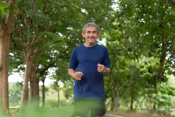 a healthy asian senior man in sportswear jogging in the summer park, concept elderly pensioner lifestyle and health care