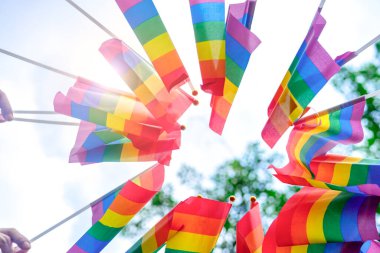 lgbtq halkının parkta renkli gökkuşağı bayrakları taşıdığı alttaki görünüm, lgbtt mutlu gurur ayı konsepti, lgbtq toplum eşitliği hareketi
