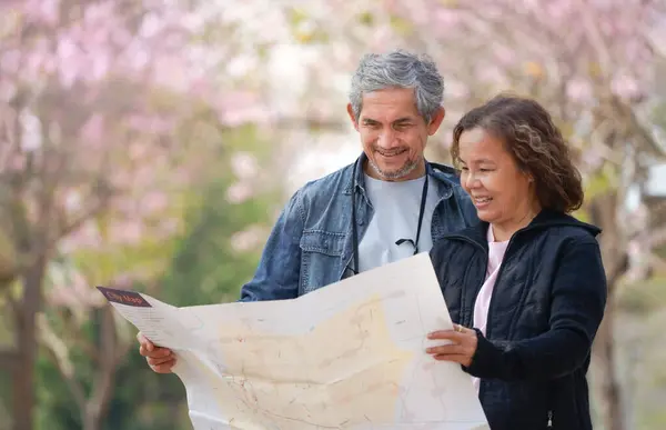 happy asian senior couple traveling,mature man and woman looking at paper map together while visit tree pink flowering